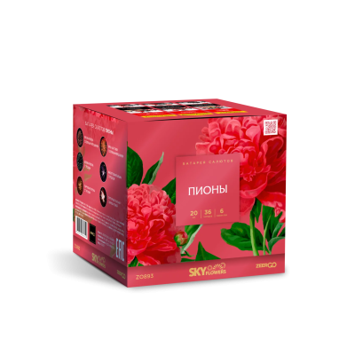 Пионы Салют купить в Ярославле | yaroslavl.salutsklad.ru