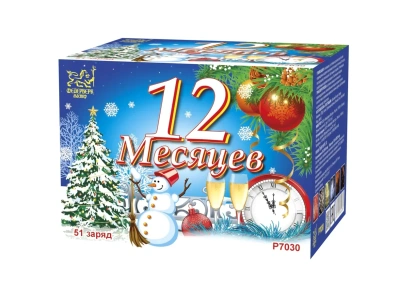 12 Месяцев Фейерверк купить в Ярославле | yaroslavl.salutsklad.ru