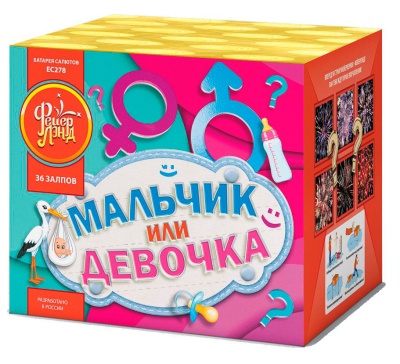 Мальчик или девочка М Фейерверк купить в Ярославле | yaroslavl.salutsklad.ru