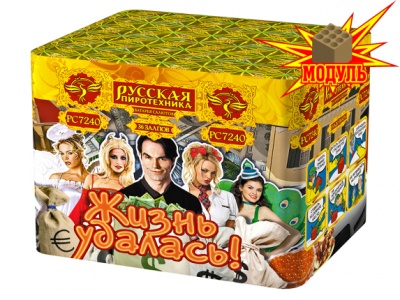 Жизнь удалась Фейерверк купить в Ярославле | yaroslavl.salutsklad.ru